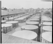 Brine barrels lined up